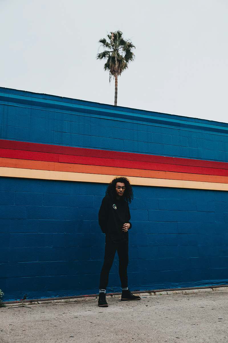 palm tree man standing beside blue concrete wall people